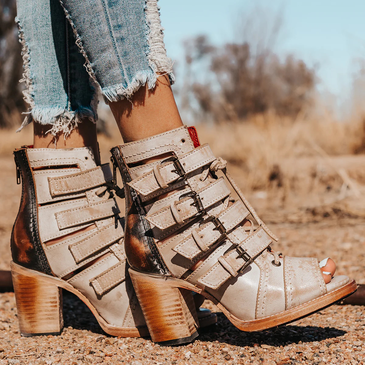 FREEBIRD STORES - BRAEDEN | Freebird Stores