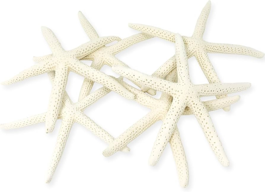 Starfish Decor - Star Fish for Craft - 6pk Real 3-4" White Sea Stars - Beach Wedding Decor - Coas... | Amazon (US)