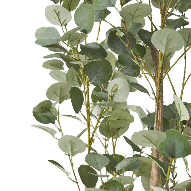Aanya Artificial Eucalyptus Tree in Pot | Wayfair North America