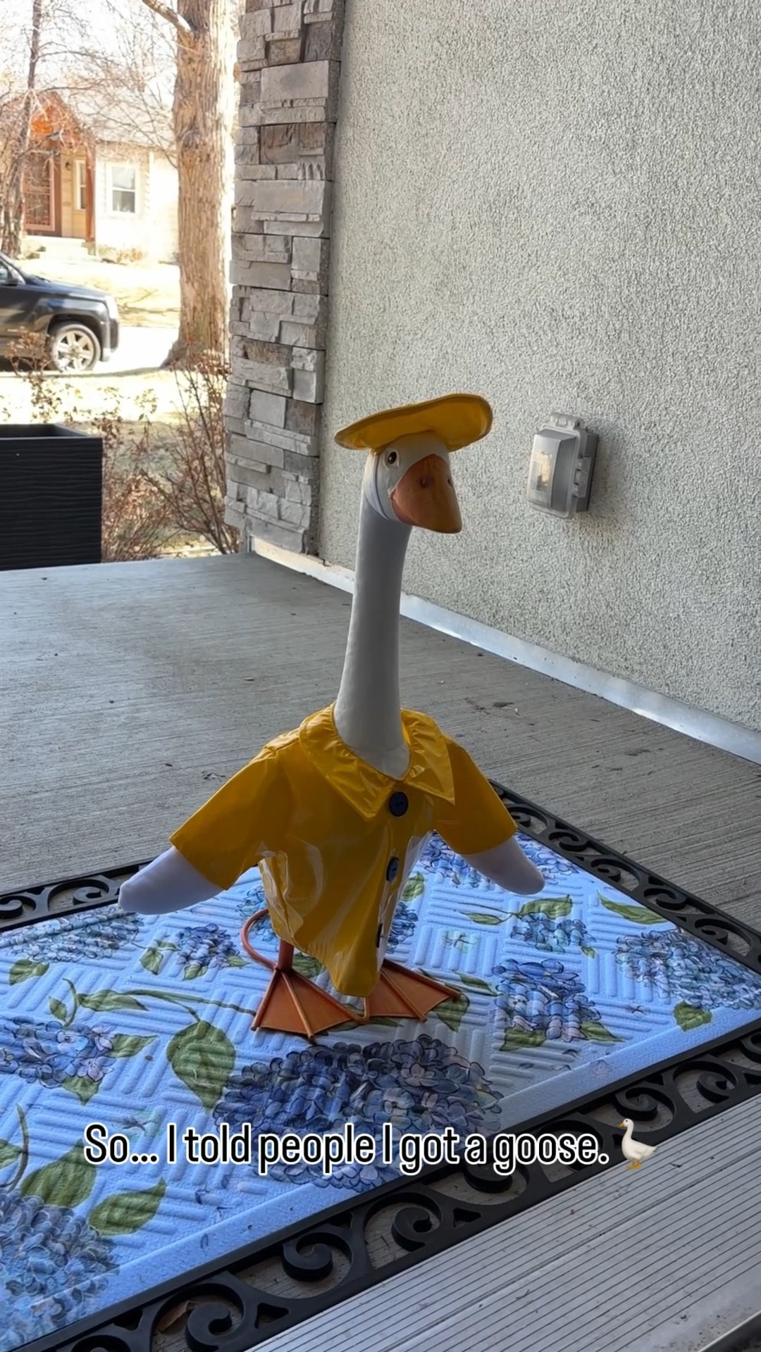 So we got a goose 🪿 

#LTKmomlife #LTKHome #LTKdayinmylife