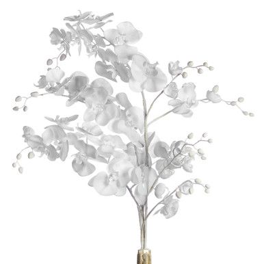 Faux Phalaenopsis - Set Of 3 | Zgallerie | Z Gallerie