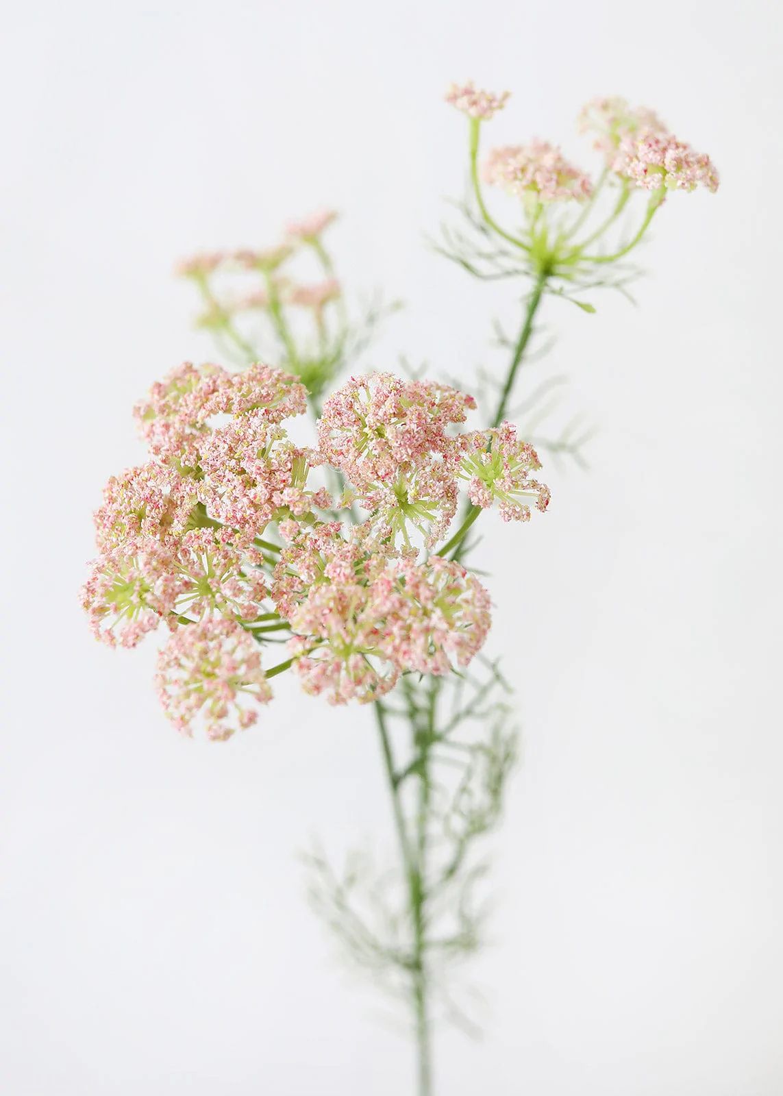 Faux Dill Wildflowers in Pink - 35" | Afloral