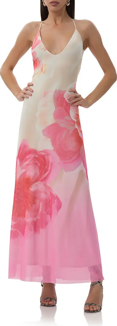 Romy Floral Mesh Maxi Slipdress | Nordstrom