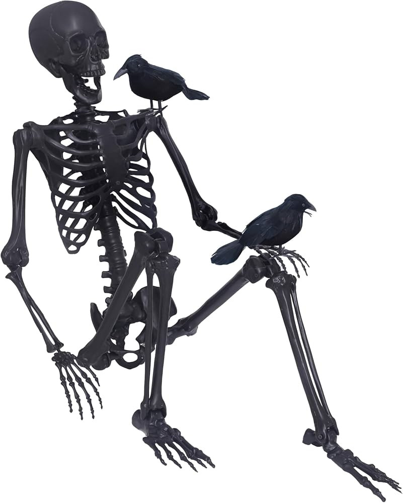 5.4Ft Halloween Skeleton,Posable Skeleton Full Size Skeleton with Movable Joints and 2PC Black Fe... | Amazon (US)