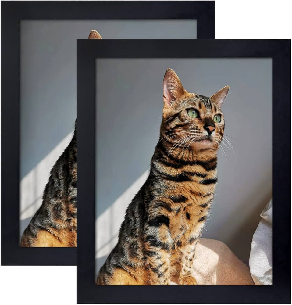 Picture Frame 8x10 Inch Set of 2,Made of Wood, Wall Mount Vertically or Horizontally-Photo Frame ... | Amazon (US)