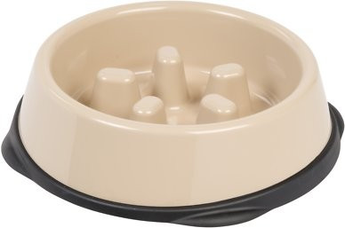IRIS Slow Feeding Dog & Cat Bowl | Chewy.com