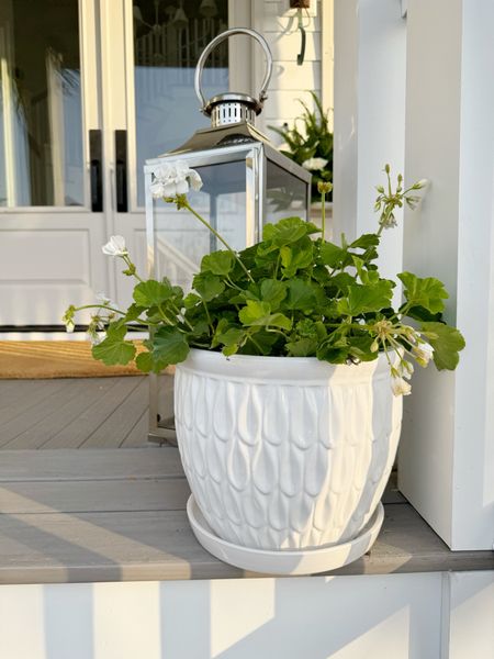 Love this pot with drainage hole, from Home Depot with geraniums in it for all season! 

#LTKhome #LTKSeasonal #LTKstyletip