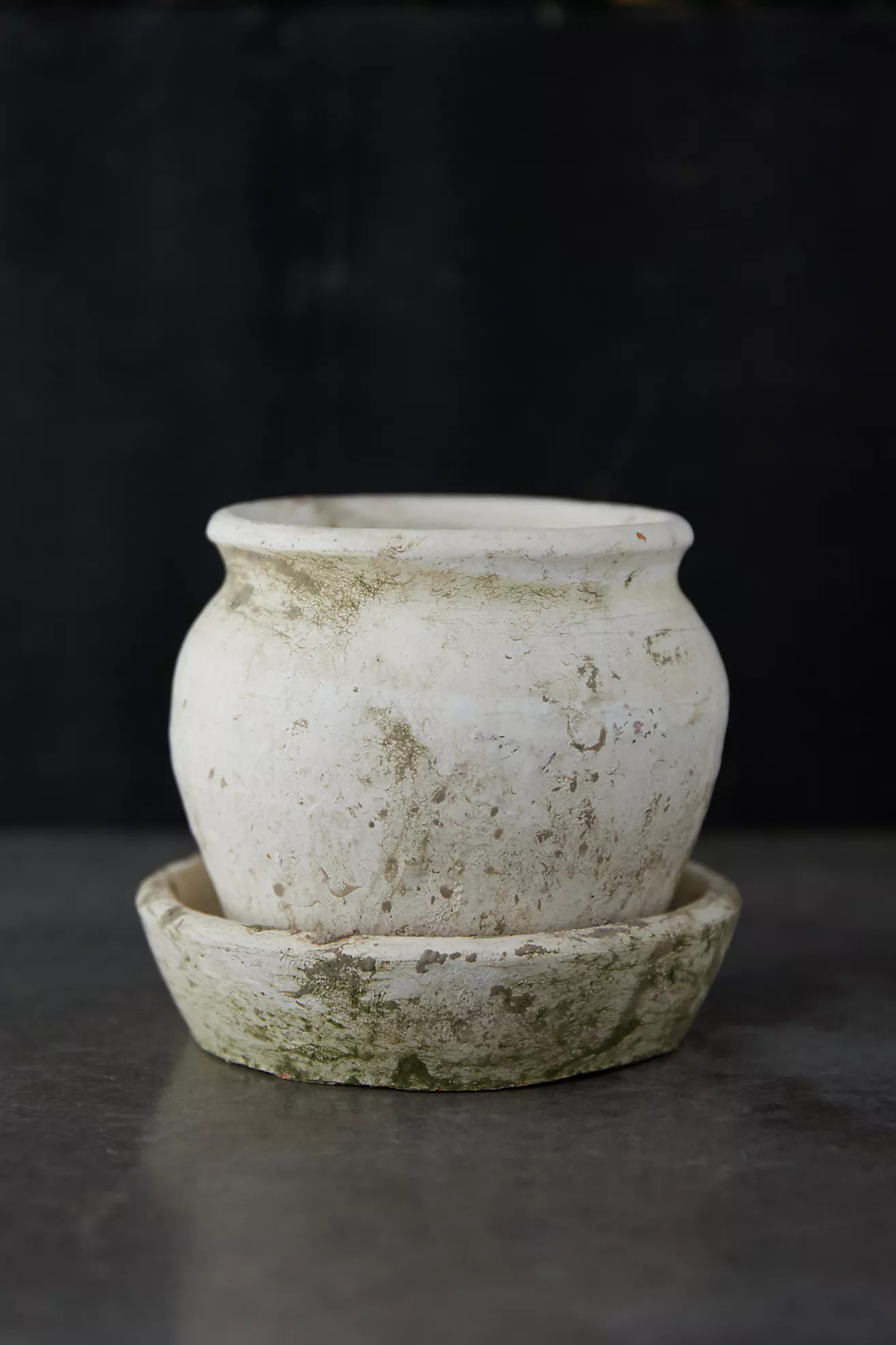 Earth Fired Clay White Curve Pots + Saucers, 3 Sizes Set | Anthropologie (US)