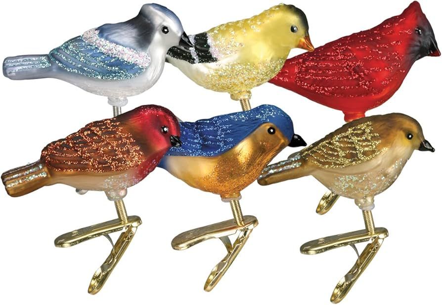 Old World Glass Christmas Clip-on Ornament - Assorted Miniature Songbirds, Set of 6 | Amazon (US)
