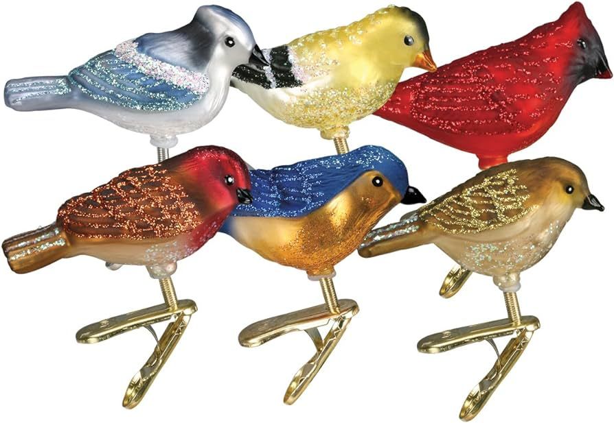 Old World Glass Christmas Clip-on Ornament - Assorted Miniature Songbirds, Set of 6 | Amazon (US)