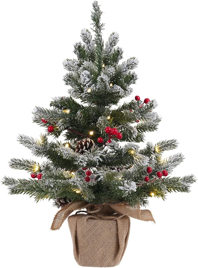 24 Inch 2 FT Pre-lit Snowy Mini Christmas Tree, DECSPAS Small Tabletop Flocked Christmas Tree wit... | Amazon (US)