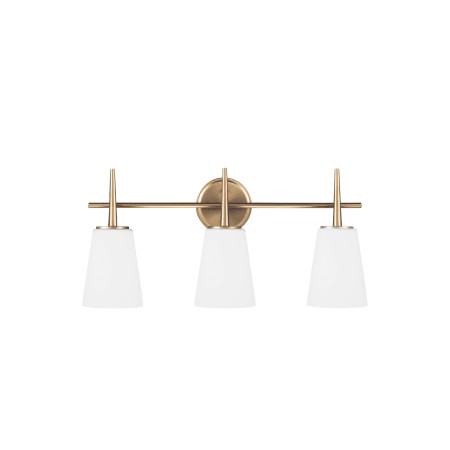 Driscoll 3 Light 24-1/2" Wide Bathroom Vanity Light with Etched Glass Shade | Build.com, Inc.