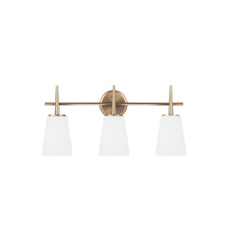 Driscoll 3 Light 24-1/2" Wide Bathroom Vanity Light with Etched Glass Shade | Build.com, Inc.