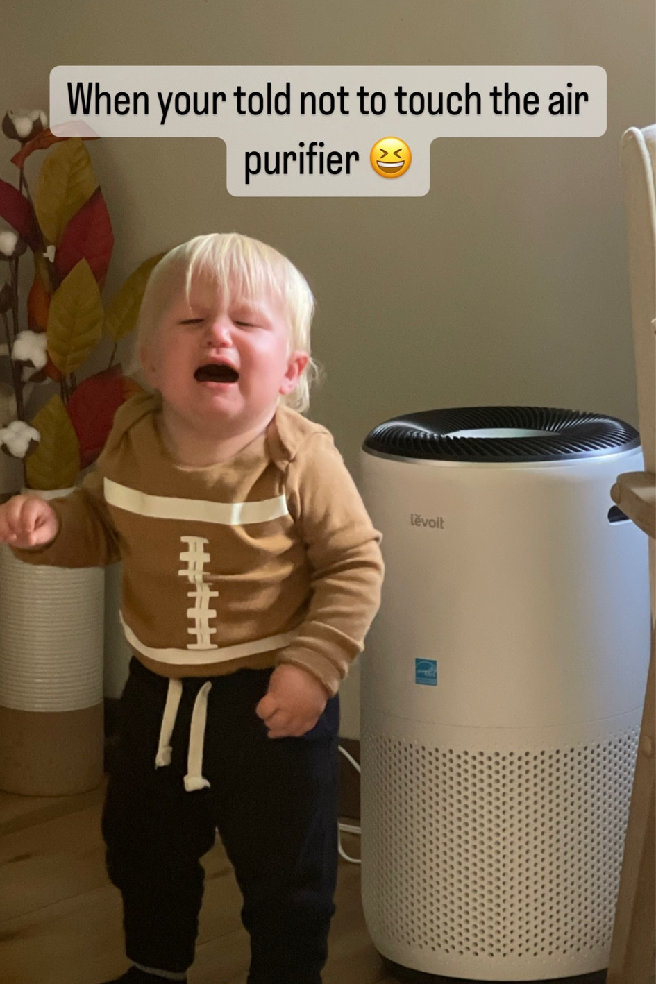 The audacity to tell him not to touch it 😆 
Amazon Prime sale! This home air purifier is a 10/10 and on sale!! 

#LTKHolidaySale #LTKhome #LTKxPrime