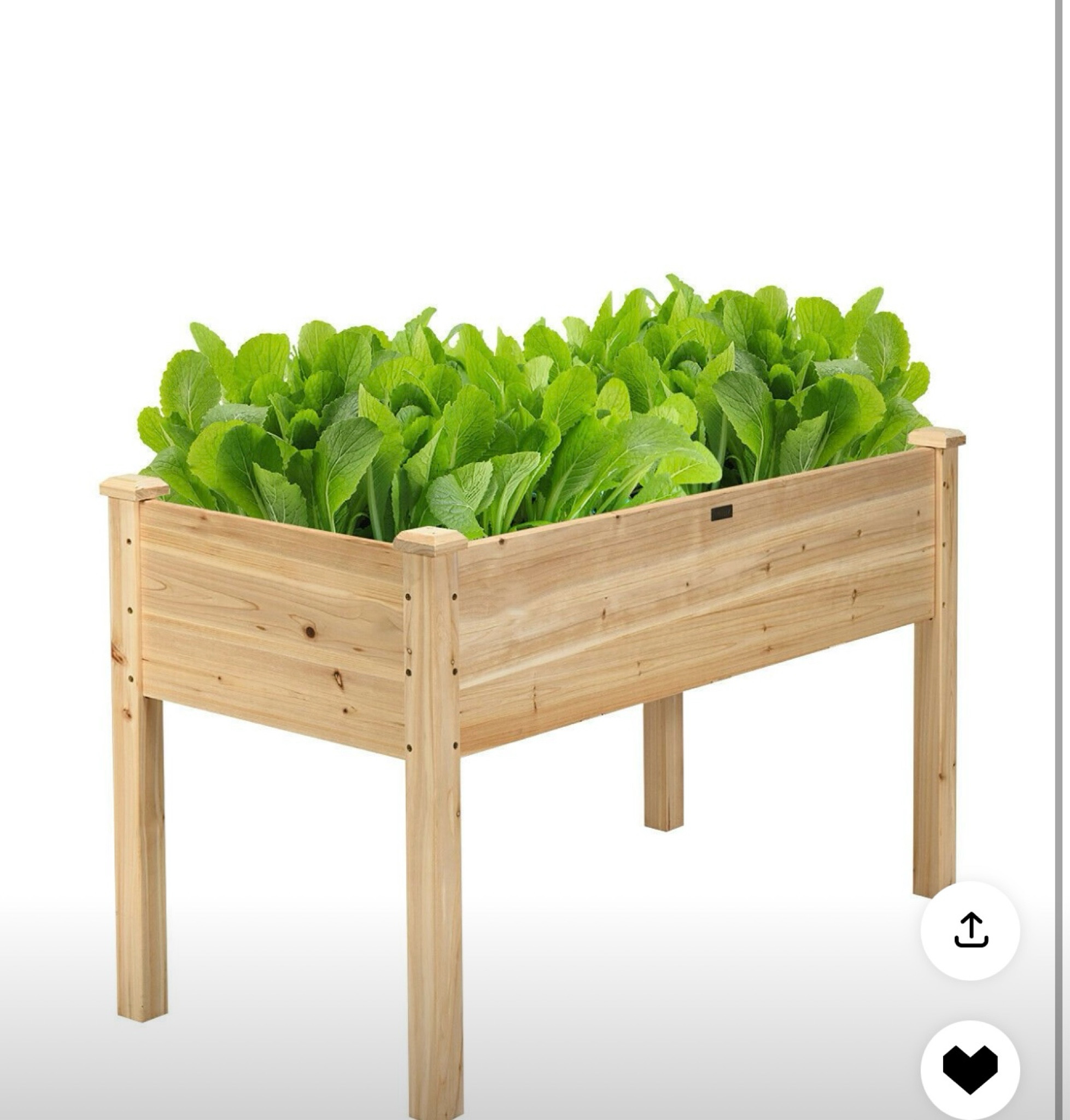 Raised garden beds are easy to maintain and a lot of fun!
#garden #spring #herbs 

#LTKSeasonal #LTKstyletip #LTKhome