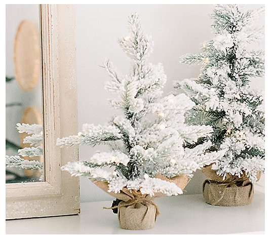 1.5' Flocked Illuminated Pine Tree with Burlap Base by Lauren McBride | QVC