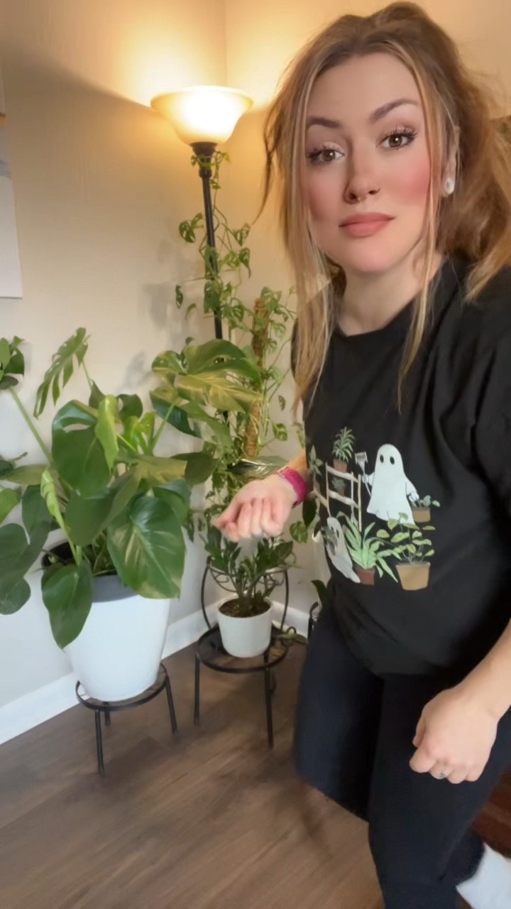 GETS YOURS HERE ⬇️

https://www.tiktok.com/t/ZT2Du752H/



This is my favorite T-shirt that I wear literally once a week. It’s so comfortable. 

I’ve had it for a while and the ghost and everything have not faded even a little bit. 

MY ALL TIME FAV SHIRT! 🪴

#plants #plantsoftiktok #planttiktok #plantmom #plantlover #plantparent #plantparents #plantparenthood #spooky #spookyseason #spookyszn #spookytok #spookygirl