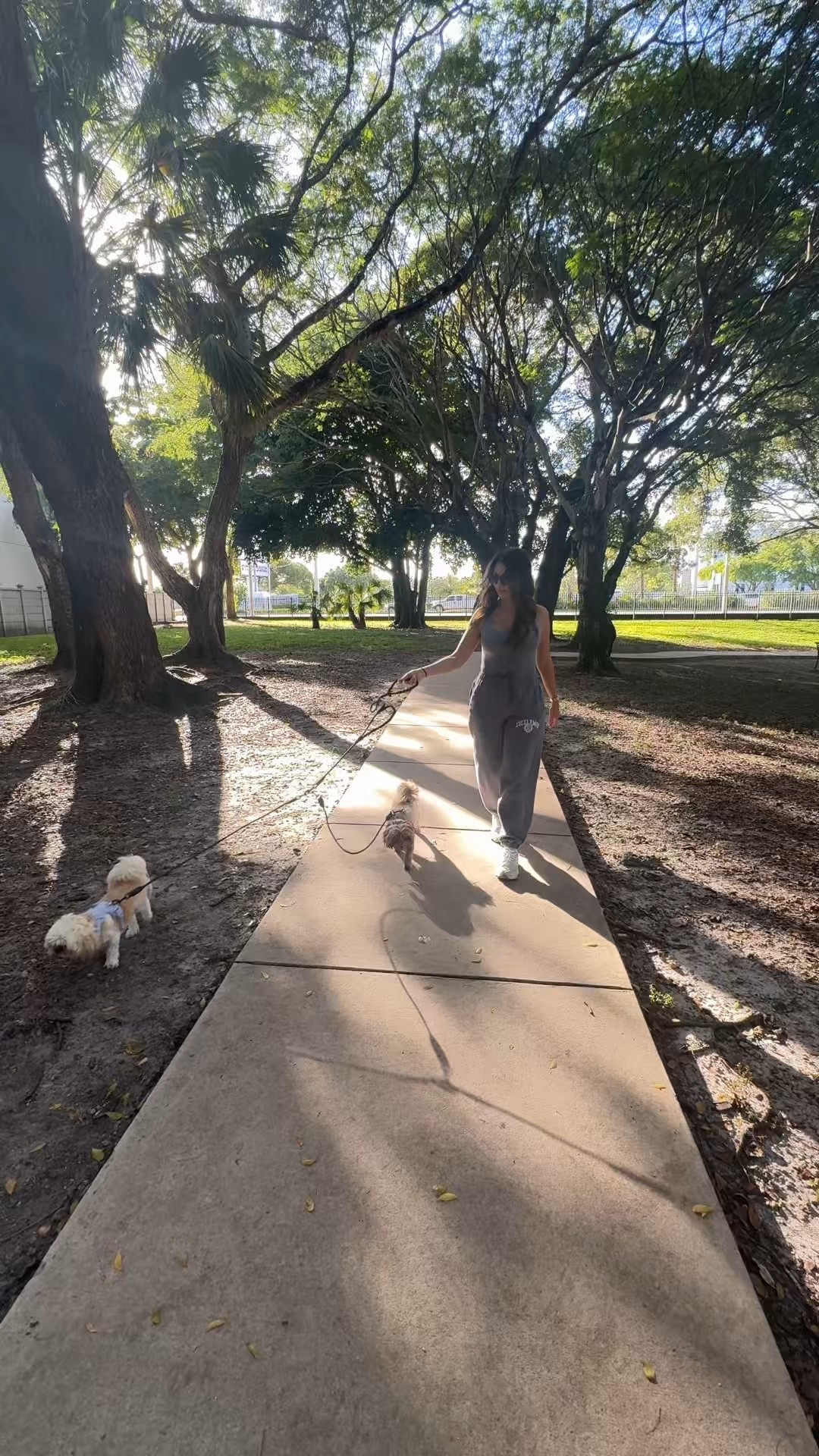 Amazon find every dog parent needs!

This double leash that does not tangle is a necessity if you have more than one pup. 🐶 🤎

#LTKPets #LTKActive