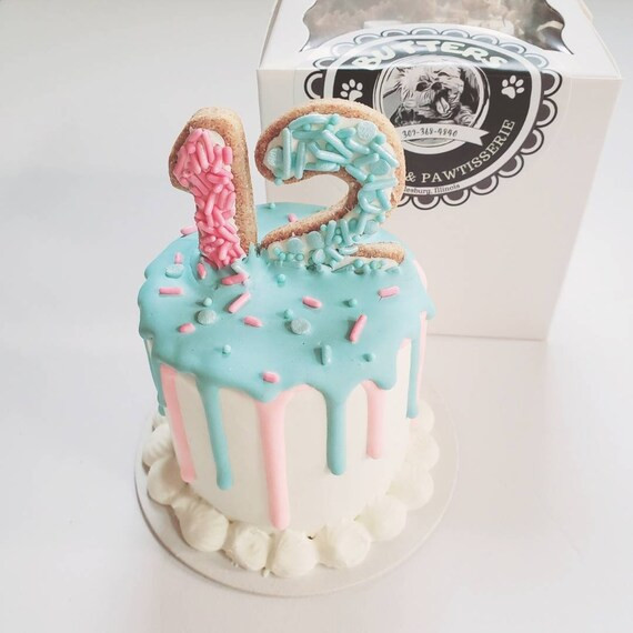 Drippy Dog Birthday Cake | Etsy | Etsy (US)