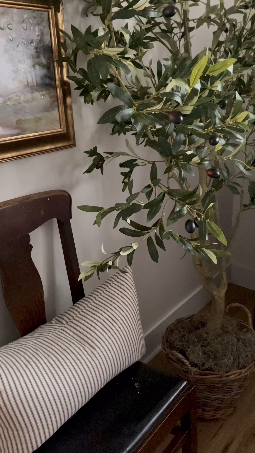 Here’s how I filled in around the pot of my new olive tree to make it look like it fits perfectly in this basket planter. The plastic bags are just the packaging that the tree came in!

#LTKSeasonal #LTKHome