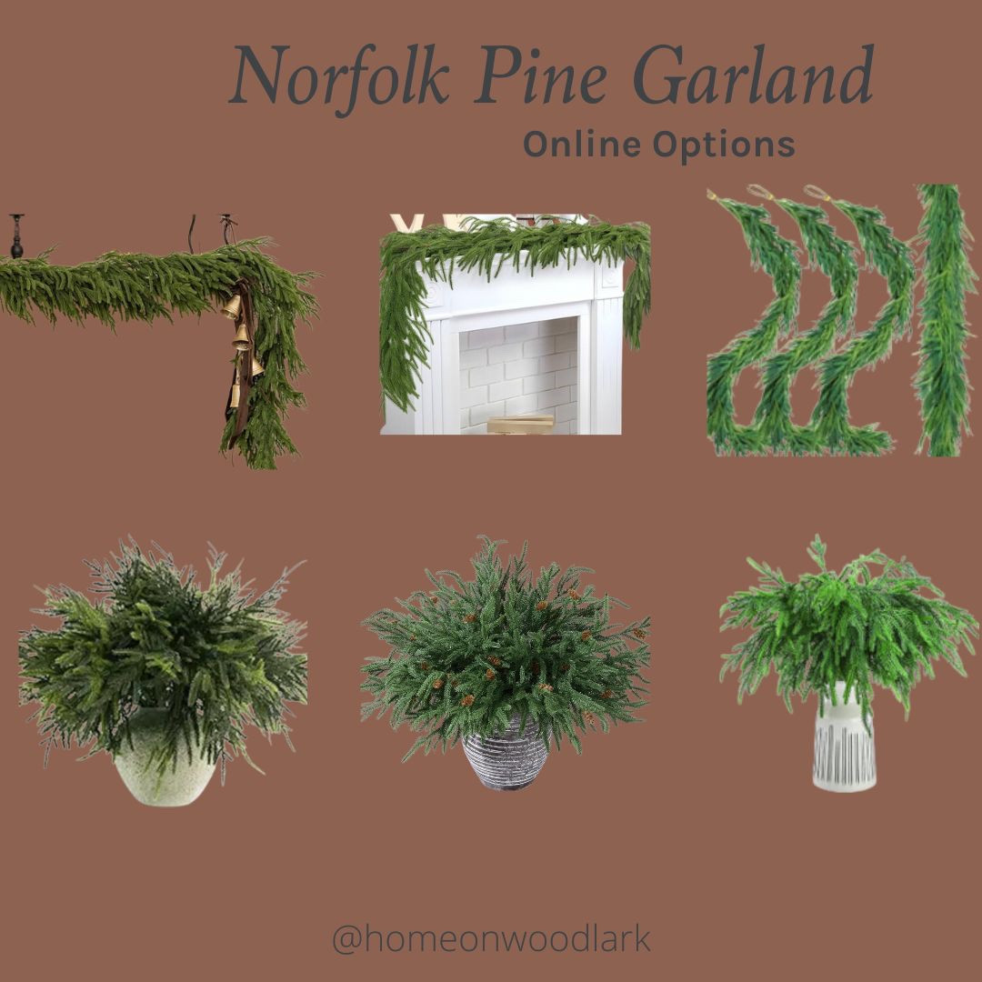 Norfolk pine is so popular because it is soft looks real.  Here are some affordable online options for stems and garland.  

Afloral Norfolk pine garland.  Amazon Norfolk pine.  Christmas Garland.  

#LTKHome #LTKHoliday #LTKSeasonal