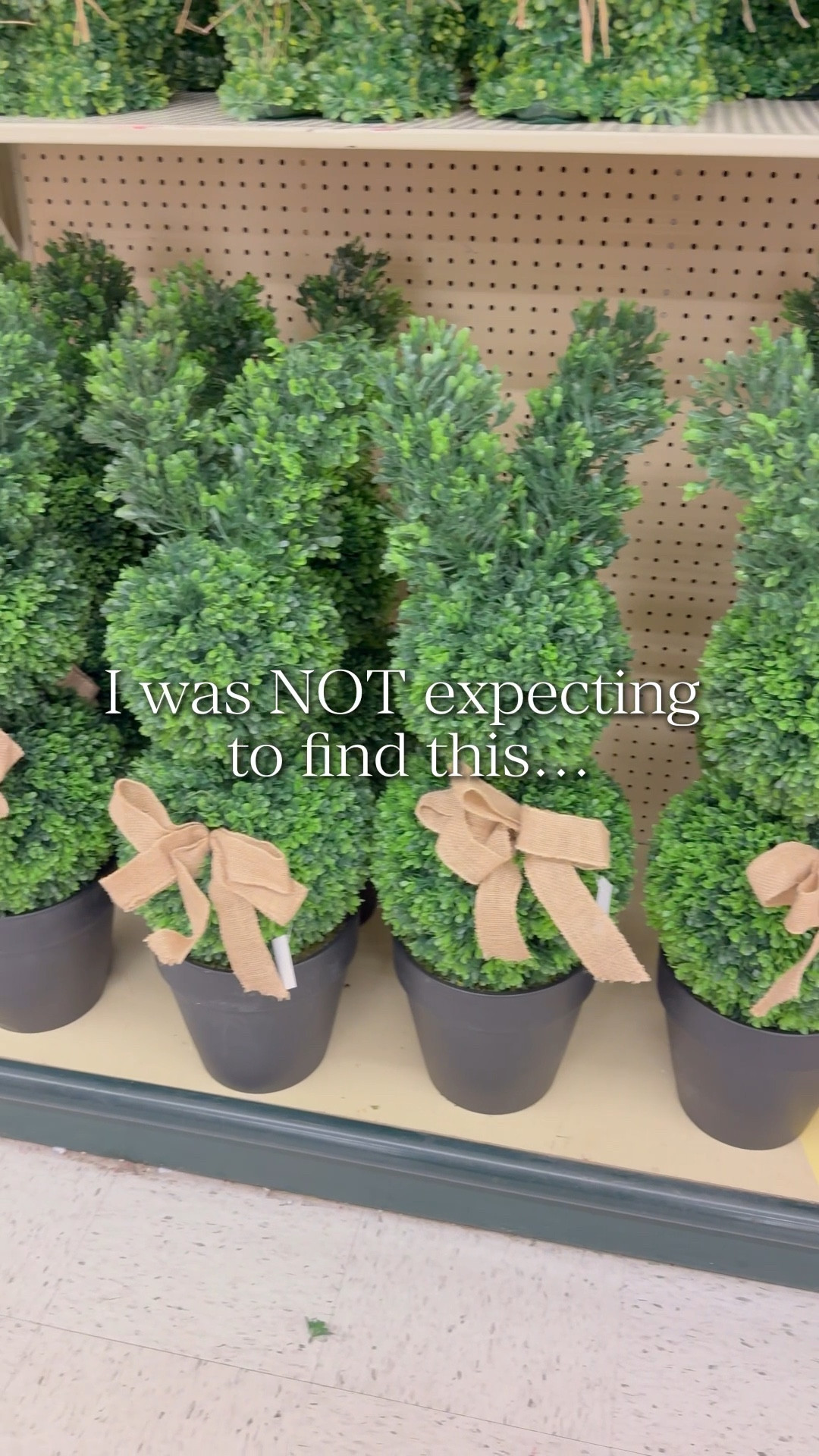 The viral bunny topiary decor everyone has been looking for 🐰 These spring bunny topiaries have been sold out in stores everywhere, but I found the best alternative that looks almost identical.

Perfect for spring porch decor, Easter decor, front door styling, and entryway decorating. If you haven’t decorated yet for spring and Easter, this is the cutest and easiest way to refresh your porch.

All links are here! Shop now before they sell out too.



#LTKvlog #LTKHome #LTKSaleAlert