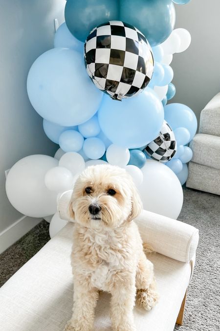 Our one happy dude first birthday celebration for lil bro was a big hit and we fell in love with these gorgeous balloon decorations by @decorbyfayth — I think Honey approved 🐶 Follow @honeyboothecavapoo for all the inspo for your one year old’s birthday party! 🥳

#LTKKids #LTKFamily #LTKParties