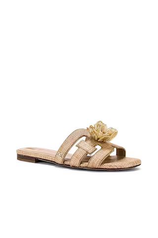 Sam Edelman Bay Flora Sandal in Buff Tan from Revolve.com | Revolve Clothing (Global)