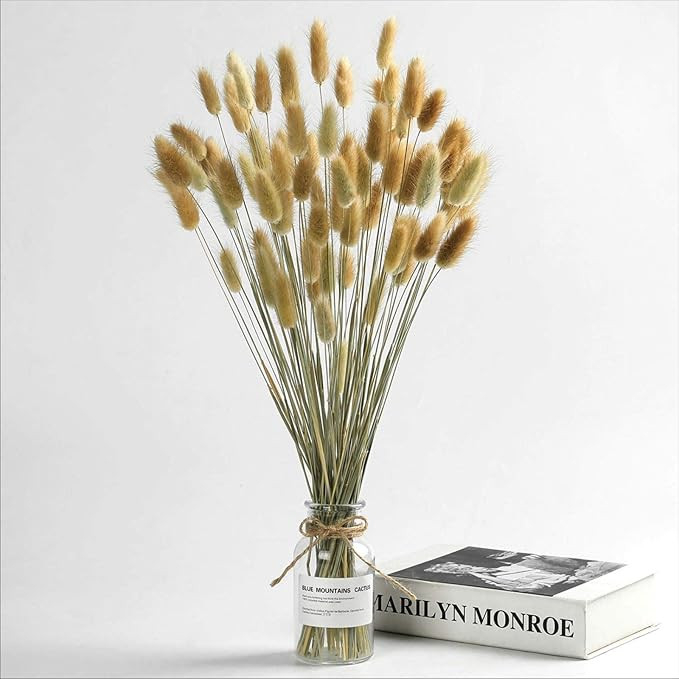 Natural Dried Bunny Tail Grass-110~120 Stems Rabbit Tail Grass, Lagurus Ovatus for Boho Decor, Dr... | Amazon (US)