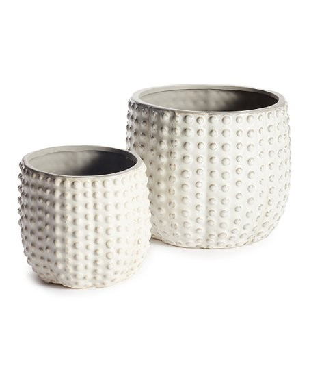 Cream Urchin Pot Set | Zulily
