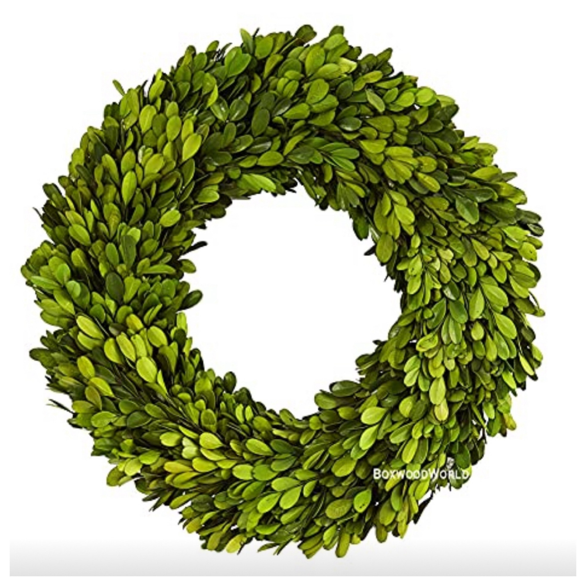 Preserved Boxwood Wreaths last for many many years, mine are over 10 years old. 

#LTKHoliday #LTKSeasonal #LTKStyleTip