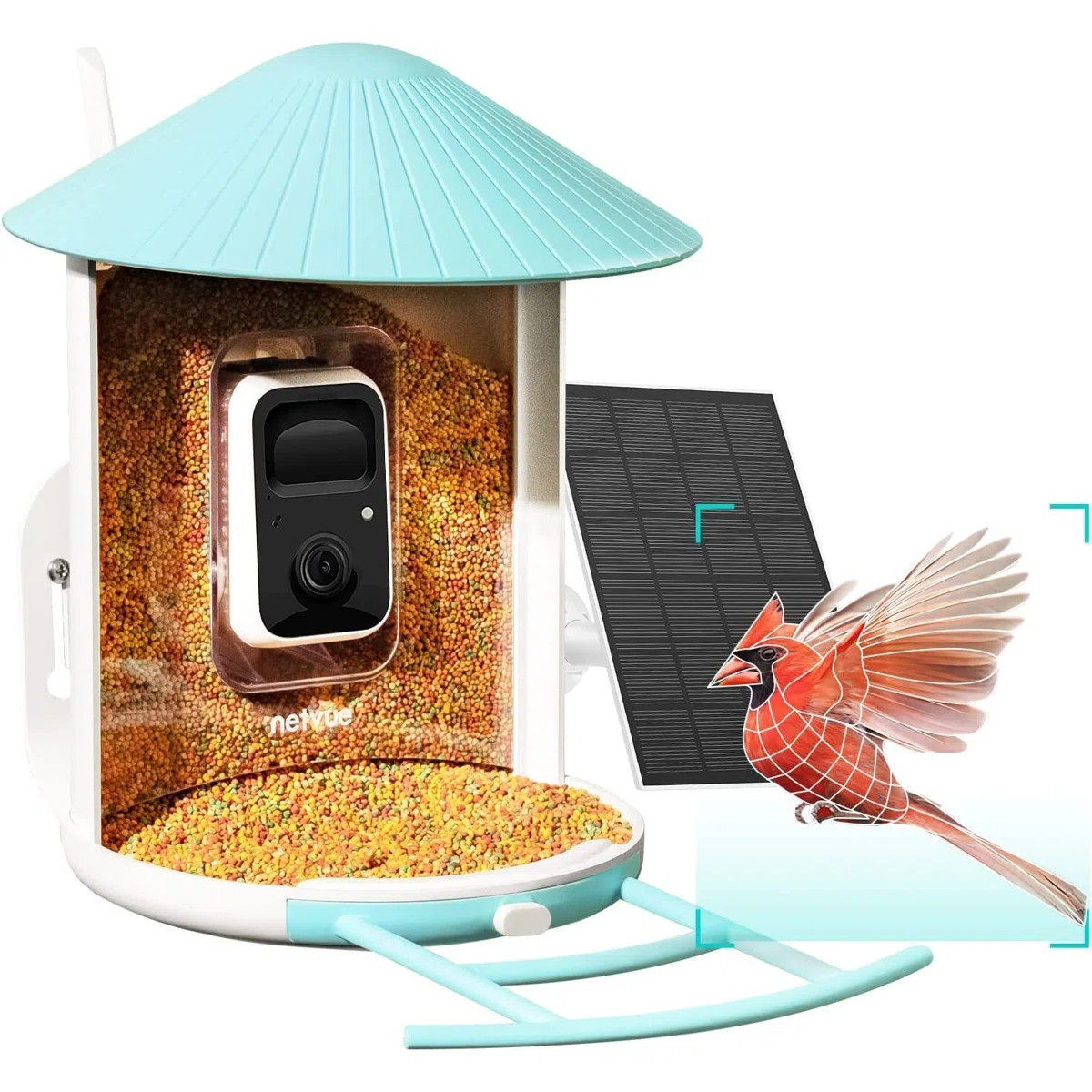 Birdfy Classic Smart Bird Feeder with Solar Panel - 7-Day Free AI Trial, Outdoor Birdwatching, Pe... | Wayfair North America