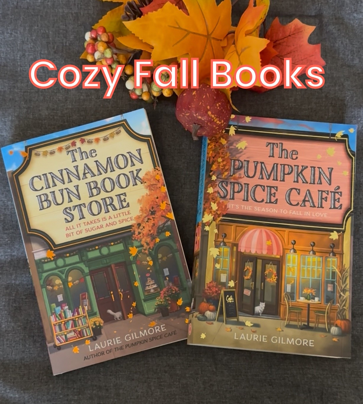 Cute And fluffy meet cute fall romance books for a cozy relaxing night in. 🍂

#LTKSeasonal #LTKU