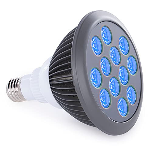 hooga Blue Light Therapy Bulb Power Cord Included. 415 nm Wavelength. 12 LEDs. High Irradiance, Treatment for Acne and Sun Damage. Can Improve Skin Texture and Tigthen Skin. | Amazon (US)