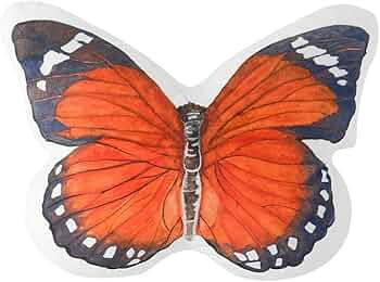 JWH 3D Butterfly Pillow Decorative Plush Throw Pillow Colorful Animal Print Cushion Bed Couch Liv... | Amazon (US)