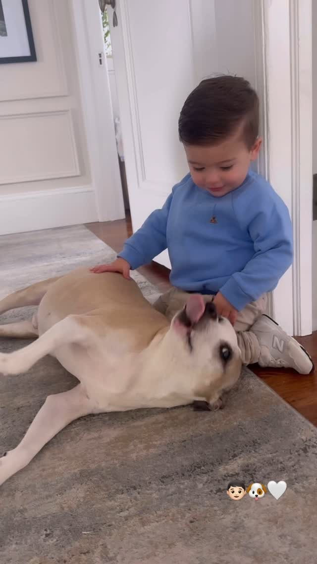 Sunday morning pets! 👦🏻🐾💙

#LTKPets #LTKFamily #LTKKids