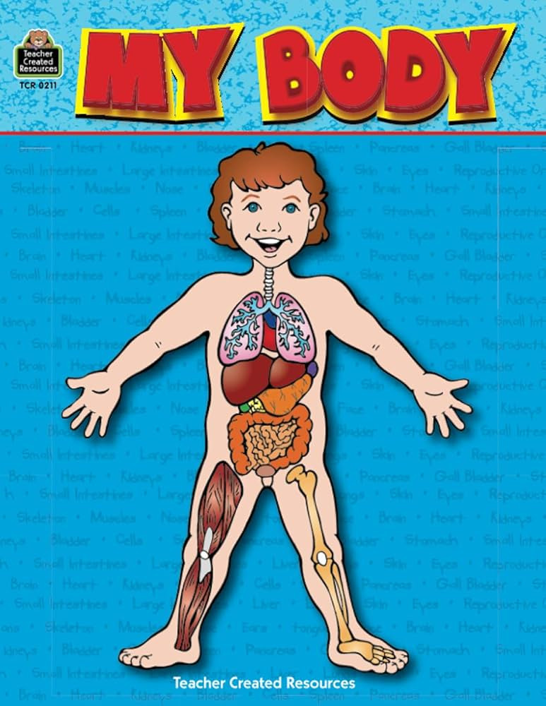 My Body | Amazon (US)
