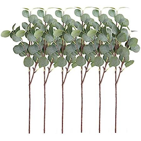 Artificial Greenery Stems 6 Pcs Straight Silver Dollar Eucalyptus Leaf Silk Greenery Bushes Plast... | Amazon (US)