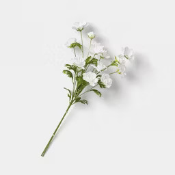 Ranunculus Stem - Threshold™ | Target