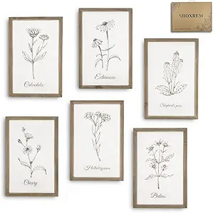 SHOXREM Framed Wall Art Prints Set, Artwork Decoration, Natural Wood Frame, Abstract Minimalist I... | Amazon (US)