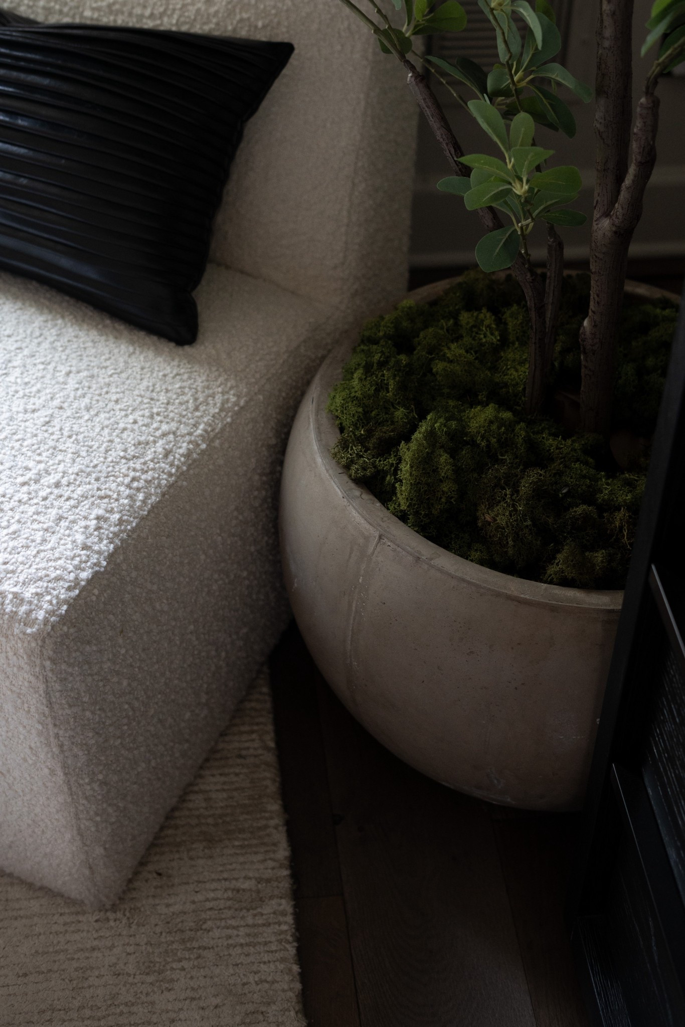 This reindeer moss is so perfect for planters! 

#LTKHome #LTKSeasonal #LTKdayinmylife