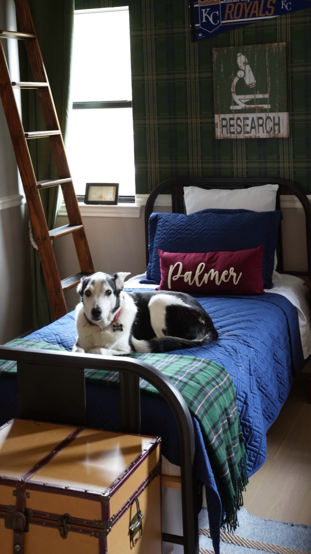 Worked on my grandson’s room recently. They were coming down for the week, and I love surprising them.

I want my grandsons to know they have a place in my home that’s just theirs. Creating this space means sacrifices: I don’t have the big closet I dream of, or an exercise room, art studio, or library. That might seem silly since they only visit every few months, but the message it sends—that they are deeply loved—is worth so much more.

PS my dog’s ears are always like that I promise. That’s Gatsby. He’s the best boy.

.
#classicdecor #ordinaryhousemouse 
#over50 #over50style #HomeDecor #GrandparentLife #WallpaperGoals

Let me know if you’d like me to format or adjust anything further!

#LTKOver40 #LTKHome #LTKFindsUnder100