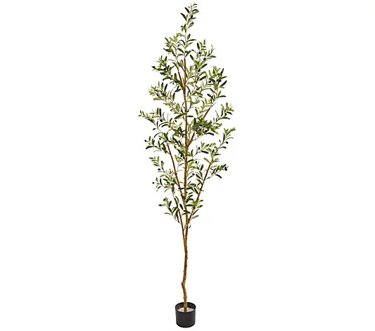 82" Olive Artificial Tree by Nearly Natural | QVC