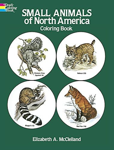 Small Animals of North America Coloring Book | Amazon (US)