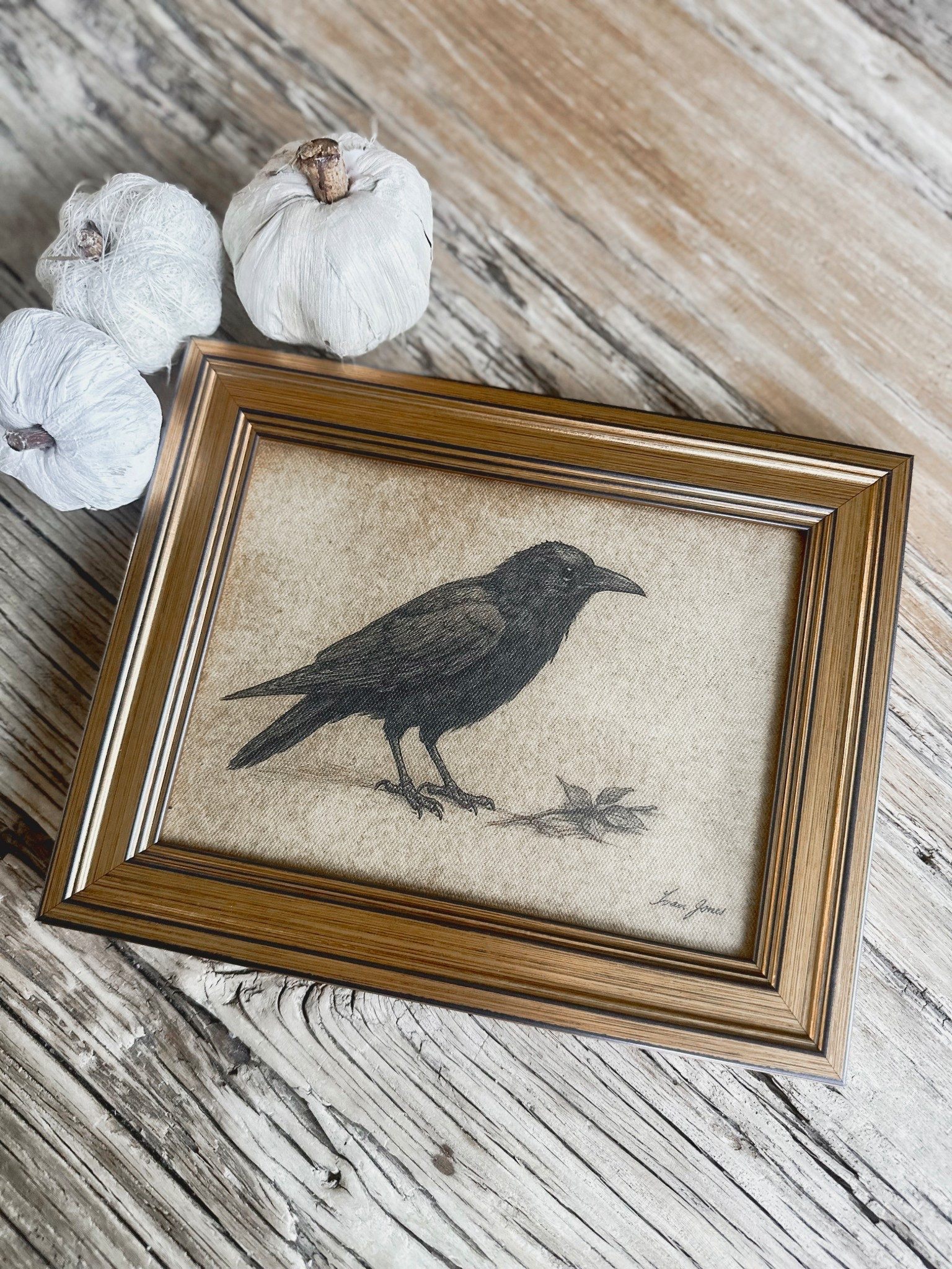 Spooky (non literal Halloween) decor you can use all year round 🐦‍⬛

#LTKSeasonal #LTKHome #LTKFallSale