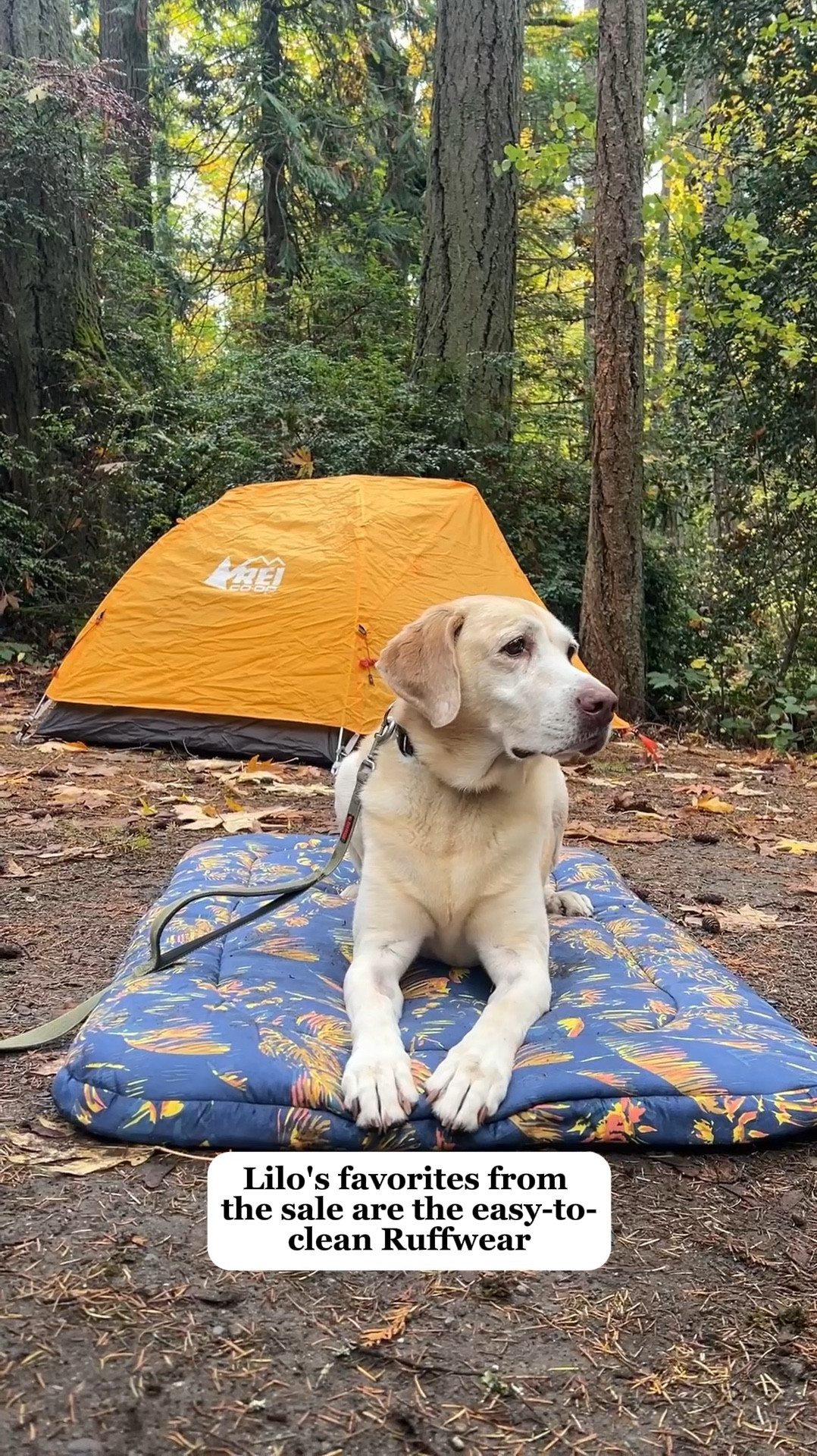 Outdoor dog gifts for camping adventure. Ruffwear pet gear is 25% off during the REI Co-op Cyber Week Sale, happening 11/29-25-12/8/25. This dog bed and hitch system are so good 👌🏽

#LTKGiftGuide #LTKCyberWeek #LTKTravel