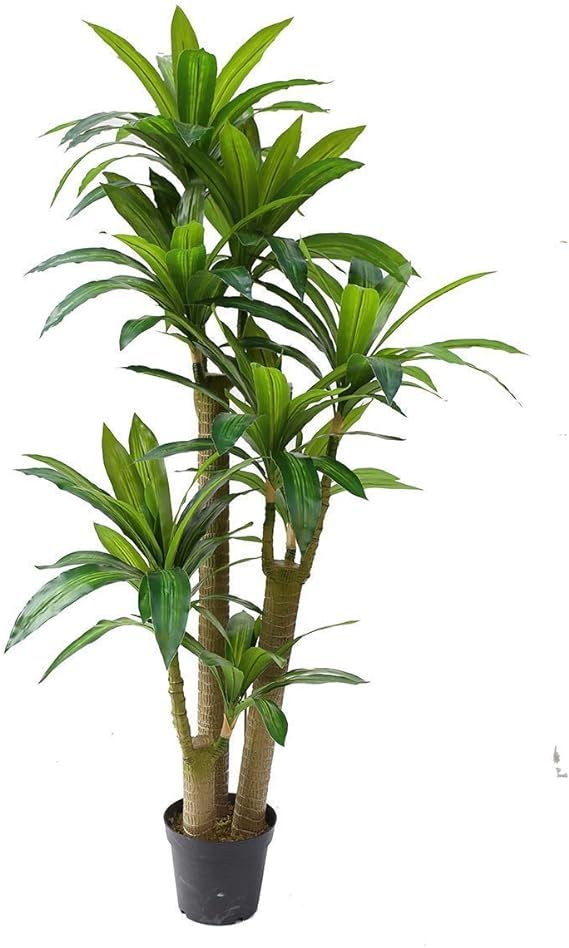 AMERIQUE 691322305258 Gorgeous Tropical Dracaena Tree Artificial Silk Plant with UV Protection, w... | Amazon (US)