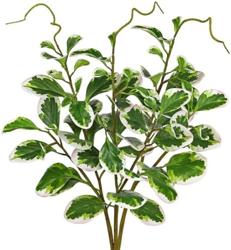 Briful Fake Plants Spring Floral Stems 3PCS Peperomia Tetraphylla Leaf Artificial Branches Faux G... | Amazon (US)