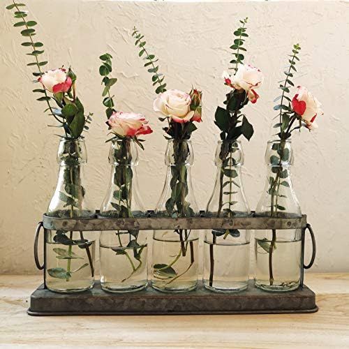 Funsoba Rustic 5 Glass Bottles Bud Vase Set for Hydroponics Plants Home Garden Wedding Centerpiec... | Amazon (US)