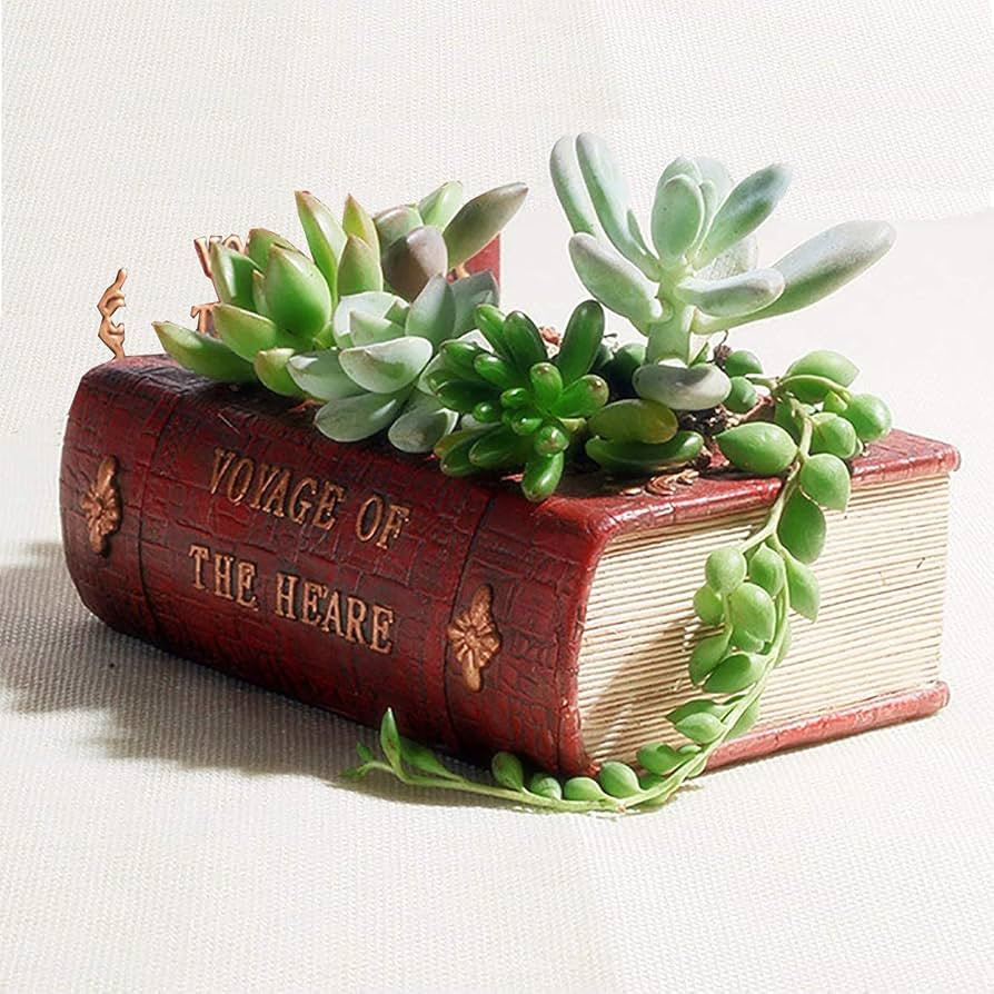 Succulent Pots, Cute Resin Animal Flower Planters Decorations, 4 Inches, Creative Pot for Semperv... | Amazon (US)